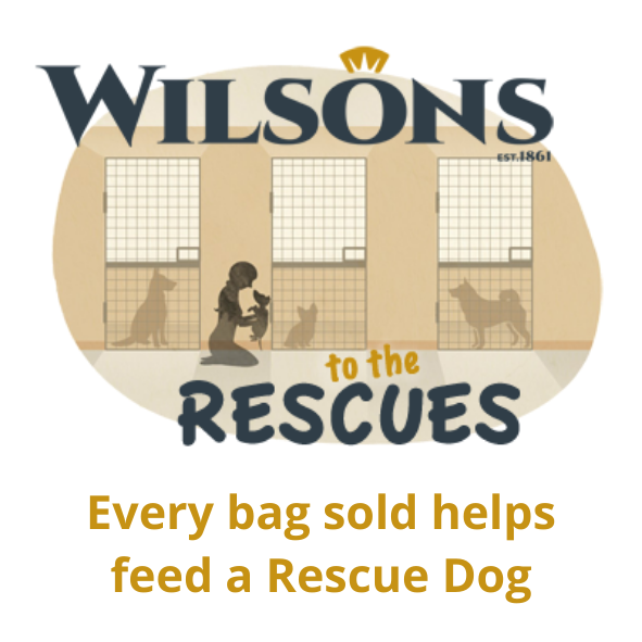 Wilsons Pet Food launch their new charity campaign Wilsons to the Rescues